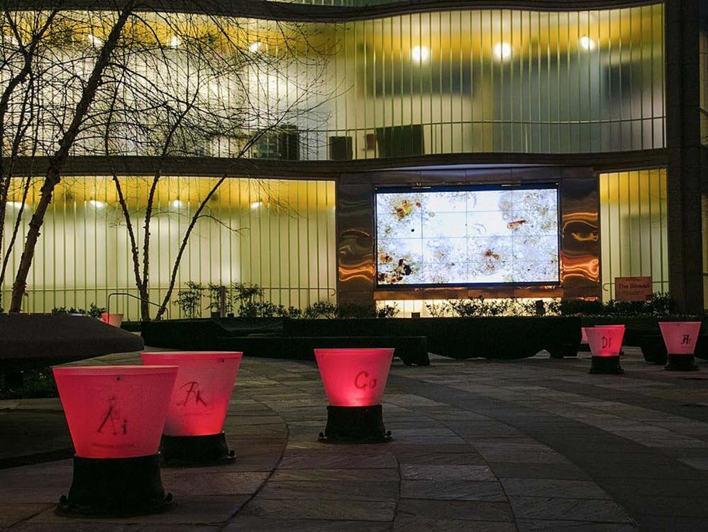 Hampton Inn Silver Spring Washington Dc Экстерьер фото